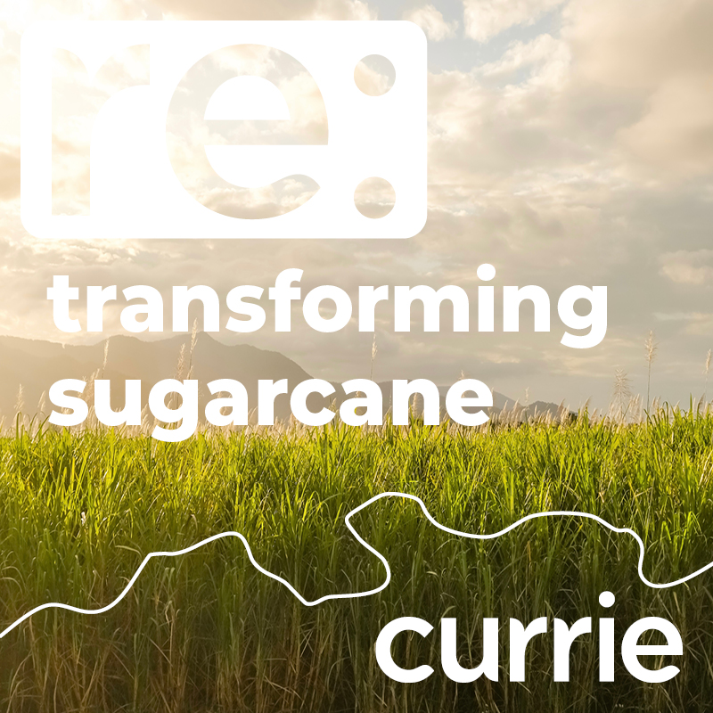 Re: Transforming sugarcane