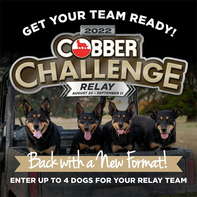 Cobber Challenge Relay social media banner